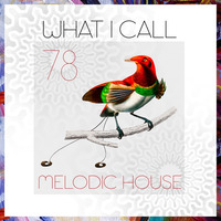 What I Call Melodic House Vol.78 by Emre K.