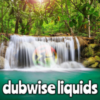 DJ Embryo - Live eDabs #01 (Dubwise Liquids) by DJ Embryo