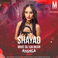 Shayad X What Do You Mean (Mashup) - DJ Anamica by MP3Virus Official