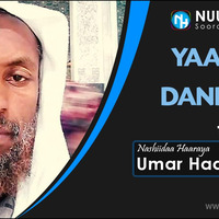 Umar Haajii Ahmad, Yaa Rabbii Dandahaa by NHStudio