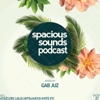 Spacious Sounds Podcast SHOW #27 by Gab Juz