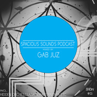 Spacious Sounds Podcast SHOW #21 by Gab Juz