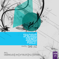 Spacious Sounds Podcast SHOW #19 by Gab Juz