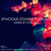 Spacious Sounds Podcast SHOW #12 by Gab Juz