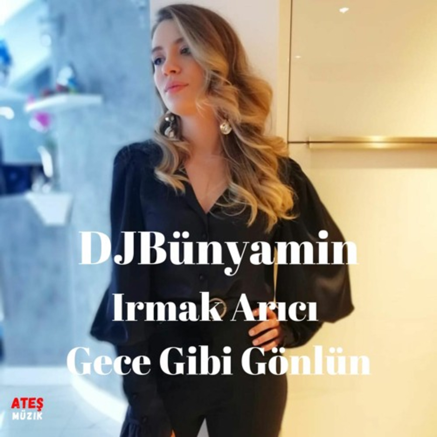 Irmak Arıcı -- Gece Gibi Gönlün REMIX 2020 (Official Remix)