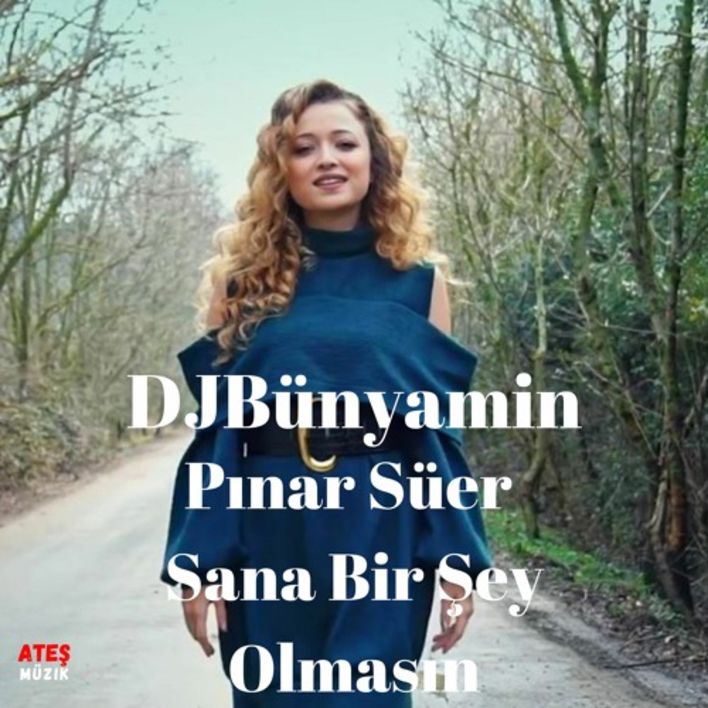 Pınar Süer -- Sana Bir Şey Olmasın REMIX 2019 (Official Remix)