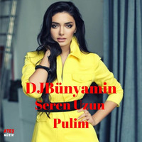Serdar Ayyıldız feat. Seren Uzun -- Pulim REMIX 2019 (Official Remix) by DJBünyamin