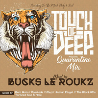 TOUCH OF DEEP Quarantine Mix By Buckz le Roux by TOUCH OF DEEP