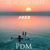 Feel The Sessions#22 Podcast GuestMixed By PDM(LIFE INDUB) by D.I.M SA