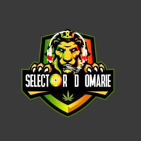REGGAE VIBEZ NON-STOP EP 1 MIXED BY SELECTOR D OMARIE(NON_EDITED) by Selector D Omarie