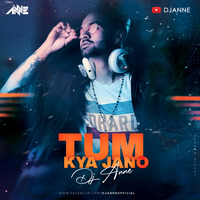 Tum Kya Janno Mahobbat Kya Hai |DJ Anne Remix |2020 Retro Remix by DJ Anne