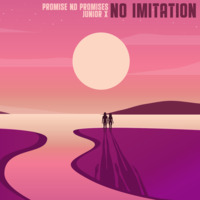 Promise No Promises - No Imitation by selekta bosso