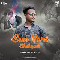 Sun Meri Shehzadi (Chiilout Mix) - DJ LVM by AIDL Official™