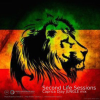 Second Life sessions. Caprica Djay JUNGLE mix by Caprica