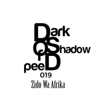 Dark shadow Of Deep 019 GuestMix By Zido Wa Afrika(Beyond Five Sense) by Dark Shadow Of Deep.