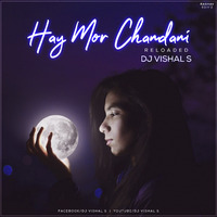 Hay Mor Chandni ( Reloaded - DJ Vishal S Official by DJ VISHAL S OFFICIAL