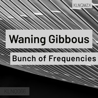 Bunch of Frequencies - Waning Gibbous by KLNQMZK