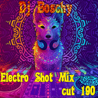 Dj Boschy Electro Shot Mix Cut 190 by DjBoschy