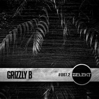 SLKT007.2 | GRIZZLY B by Selekt