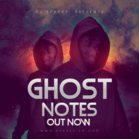 DJ SPARKS - Ghost Notes - re-released by Bass Flow Radio