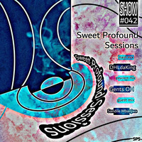 Sweet Profound Sessions #042 [Main Mix by DHLdaKing] by DHLdaKing