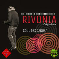 Soul Des Jaguar-Rivonia (Original Mix) by Soul Des jaguar
