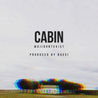 Cabin (feat. Wajidontexist) by Bassi