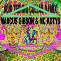 MC KOTYS &amp; Marcus Gibson - ACID Techno Collab DJ Mix by MC KOTYS (Emil Kostov)