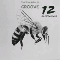 The Thabizolo Groove (TTG) Mix 12 - By Xstrasmall by XtraSmall