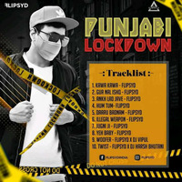 PUNJABI LOCKDOWN - (THE ALBUM) - FLIPSYD