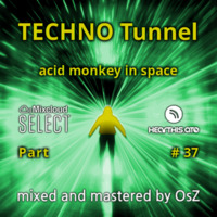 TECHNO Tunnel - Part 37 (acid monkey in space) by OsZ