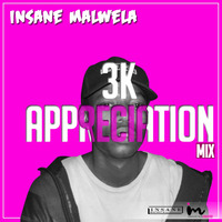 3k Appreciation Mix by Insane Malwela