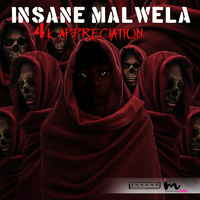 4k Appreciation Mix by Insane Malwela