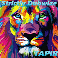 Strictly Dubwize (promo mix) by Juro Tapir Krajčík