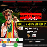 Danny Junkie_Best of Bunny Wailer by Danny Junkie