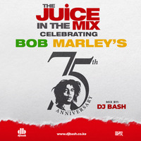 DJ Bash - Bob Marley Tribute Mix / RH EXCLUSIVE by RH EXCLUSIVE
