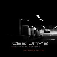 Cee Jay's Isolation Mixtape by ♊DJ CEE JAY