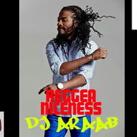DJ ARAAB - REGGAE NICENESS by Dj Araab King