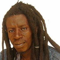 Reggae Healing (Rootsman Teachings 3) by Ronny Irie