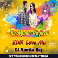 Tor Moner Pinjirai (Remix) Dj Amrita Raj by Dj Amrita Raj