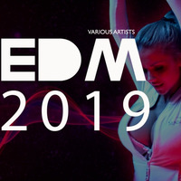 EDM &amp; Future House Mix 30.8.19 by F.G.M