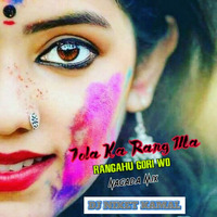 Tola Ka Rang Ma Rangahu Gori Wo_(Nagada Mix) Chhattisgarhdj.com DJ NIKET KAMAL by indiadj