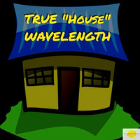 True House Wavelength show 5 by TMCKAT