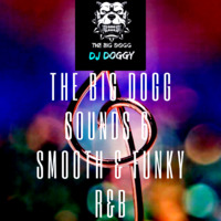 DJ Doggy - The Big Dogg Sounds 6 (smooth &amp; funky r&amp;b) by DJ Doggy