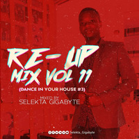 Selekta Gigabyte - Re-Up Mix Vol 11 ( Dance In Your House Edition 3) by Selekta Gigabyte