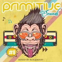 Primitive Sounds 08 Mix By BlaQSmasH by BlaQSmasH