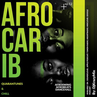 Quarantunes &amp; Chill - Afro Carib by DjKrazyMix