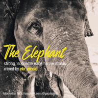 The Elephant | strong, supreme ease house music by elo_music