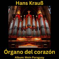 Órgano del corazón by Hans Krauß