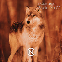 nCamargo - Studio Mix 05 by nCamargo / NCounter Music